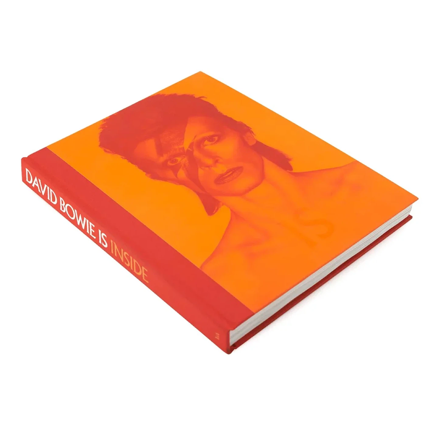 Special edition of “David Bowie Is Inside" Book Set - photo 4