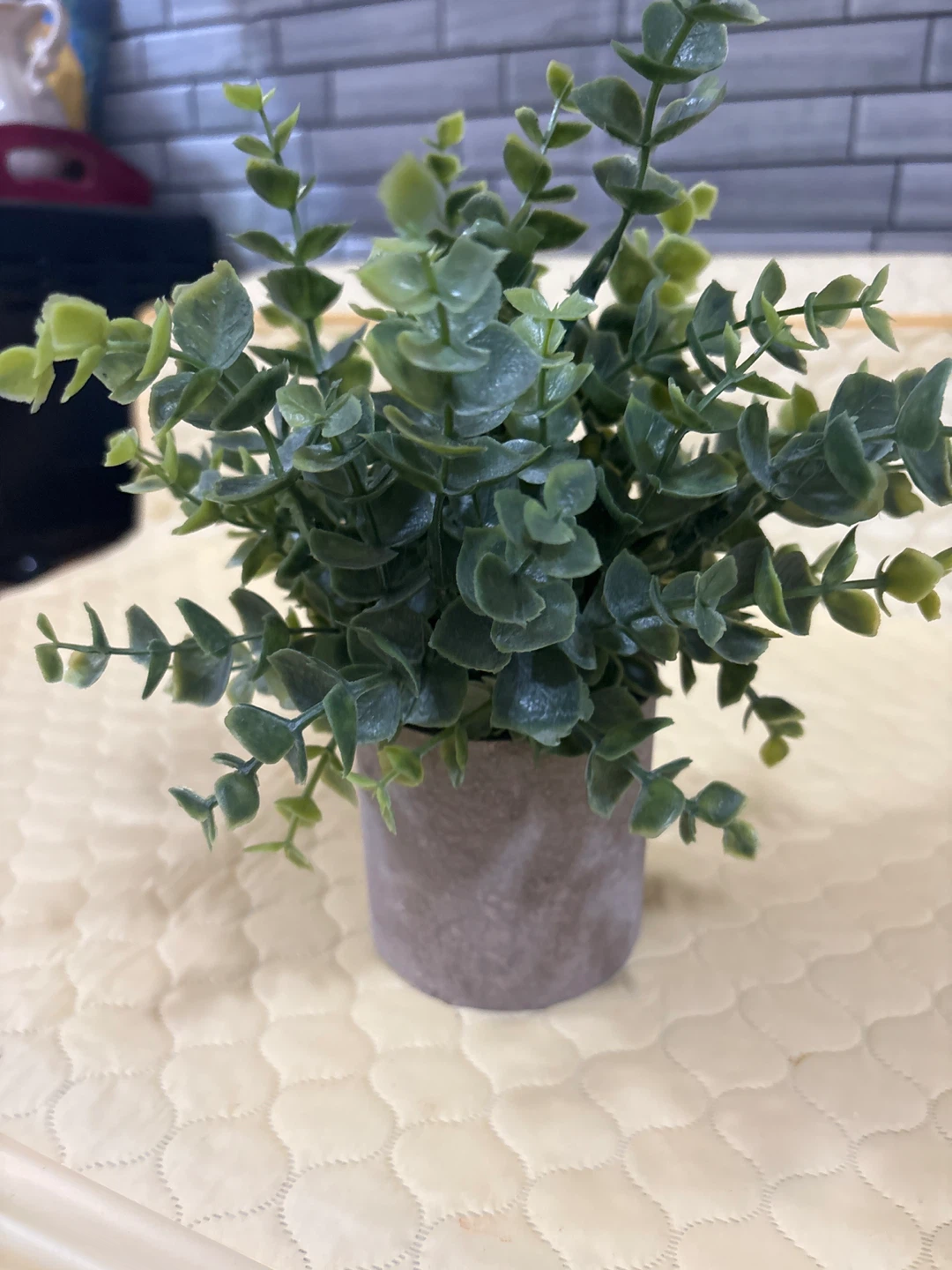 ⚽ Artificial Eucalyptus Plant in Pot