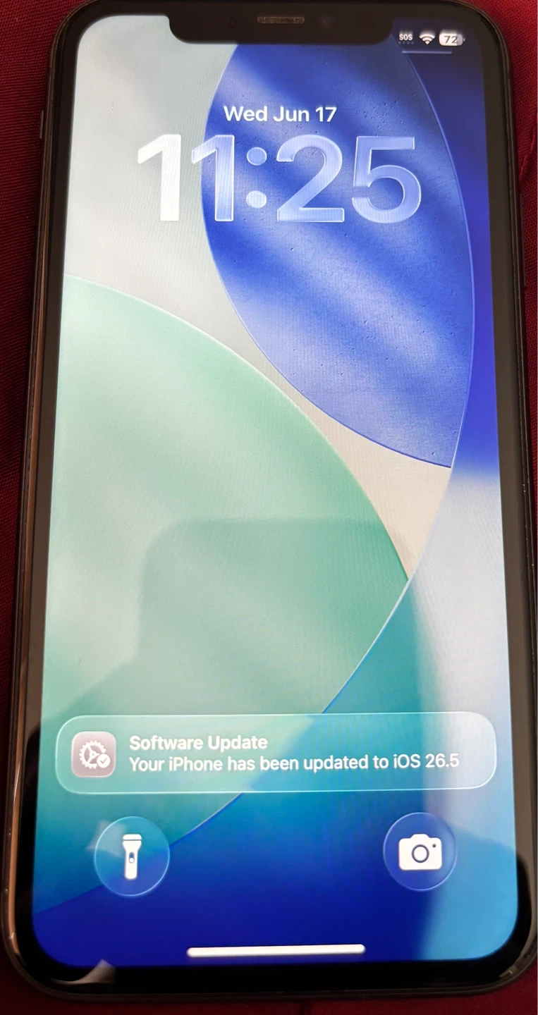 Apple iPhone 11 - photo 4