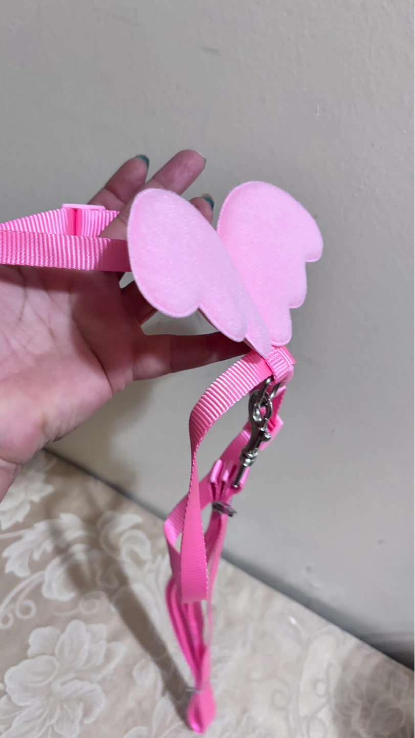 ⚽ Pink Pet Harness with Wings and Leash