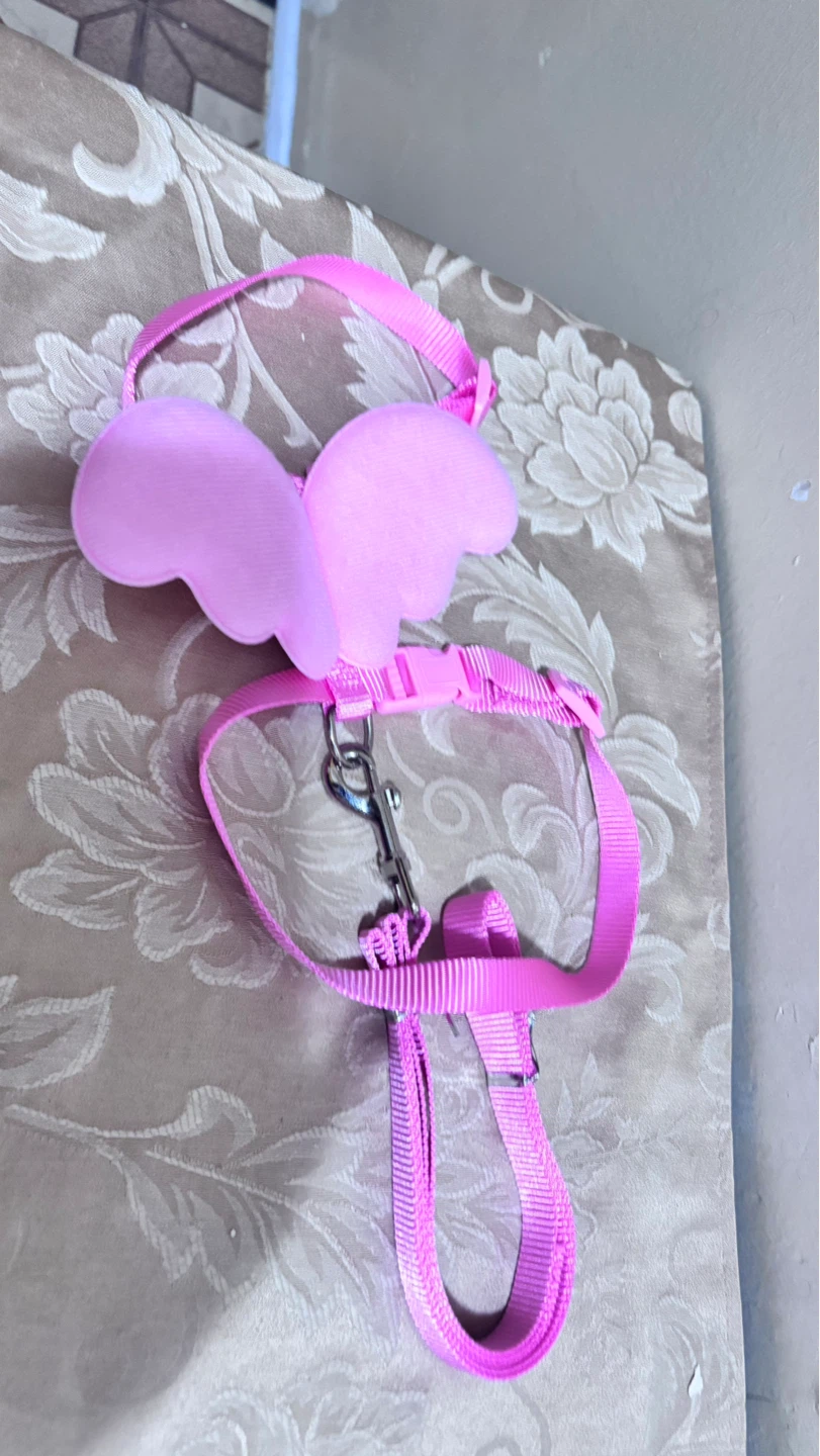 ⚽ Pink Pet Harness with Wings and Leash - photo 2