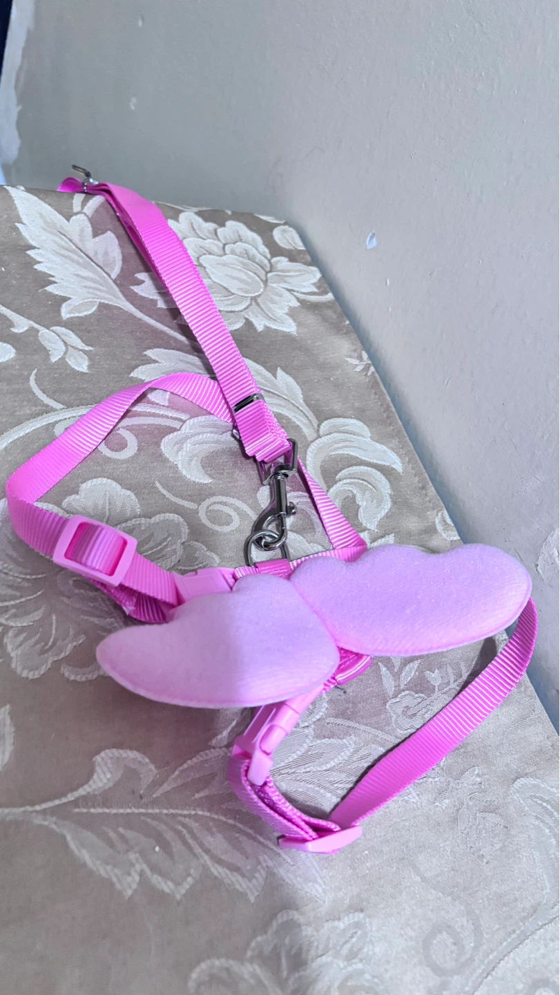 ⚽ Pink Pet Harness with Wings and Leash - photo 3
