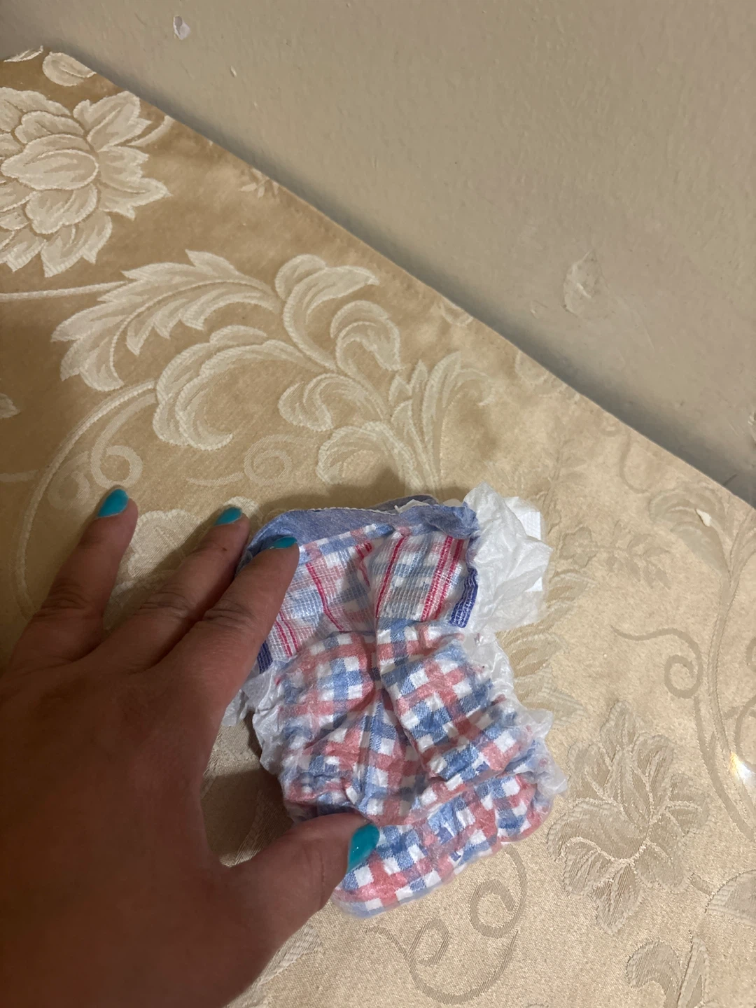 Pet Diapers (only 12 in the package)