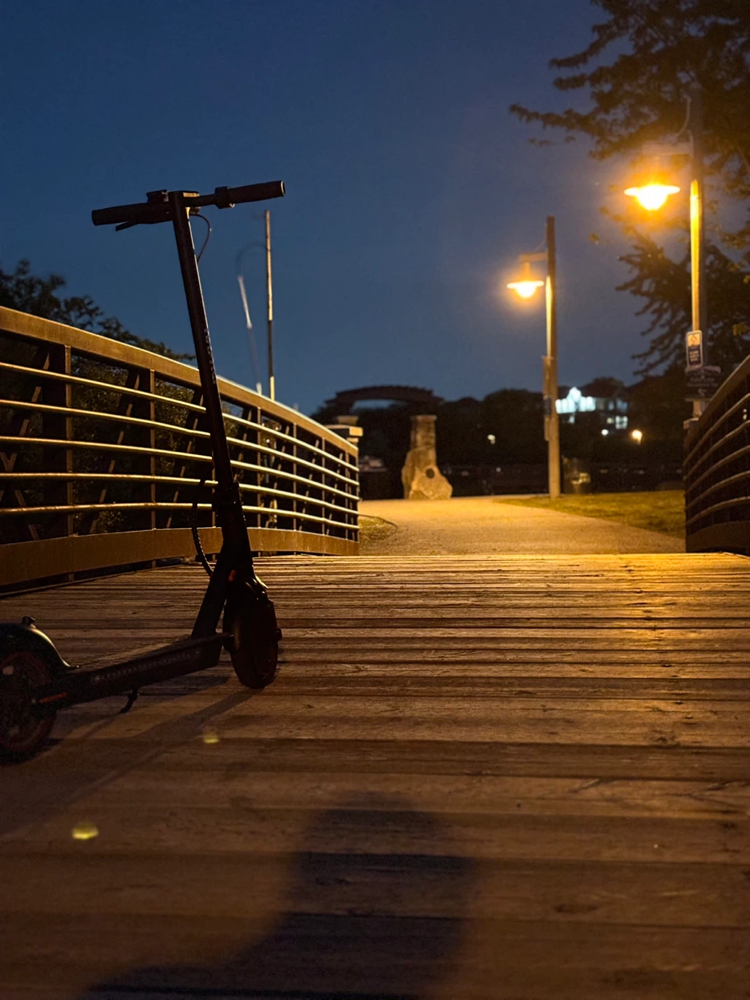 Hapoli Electric Scooter - photo 2