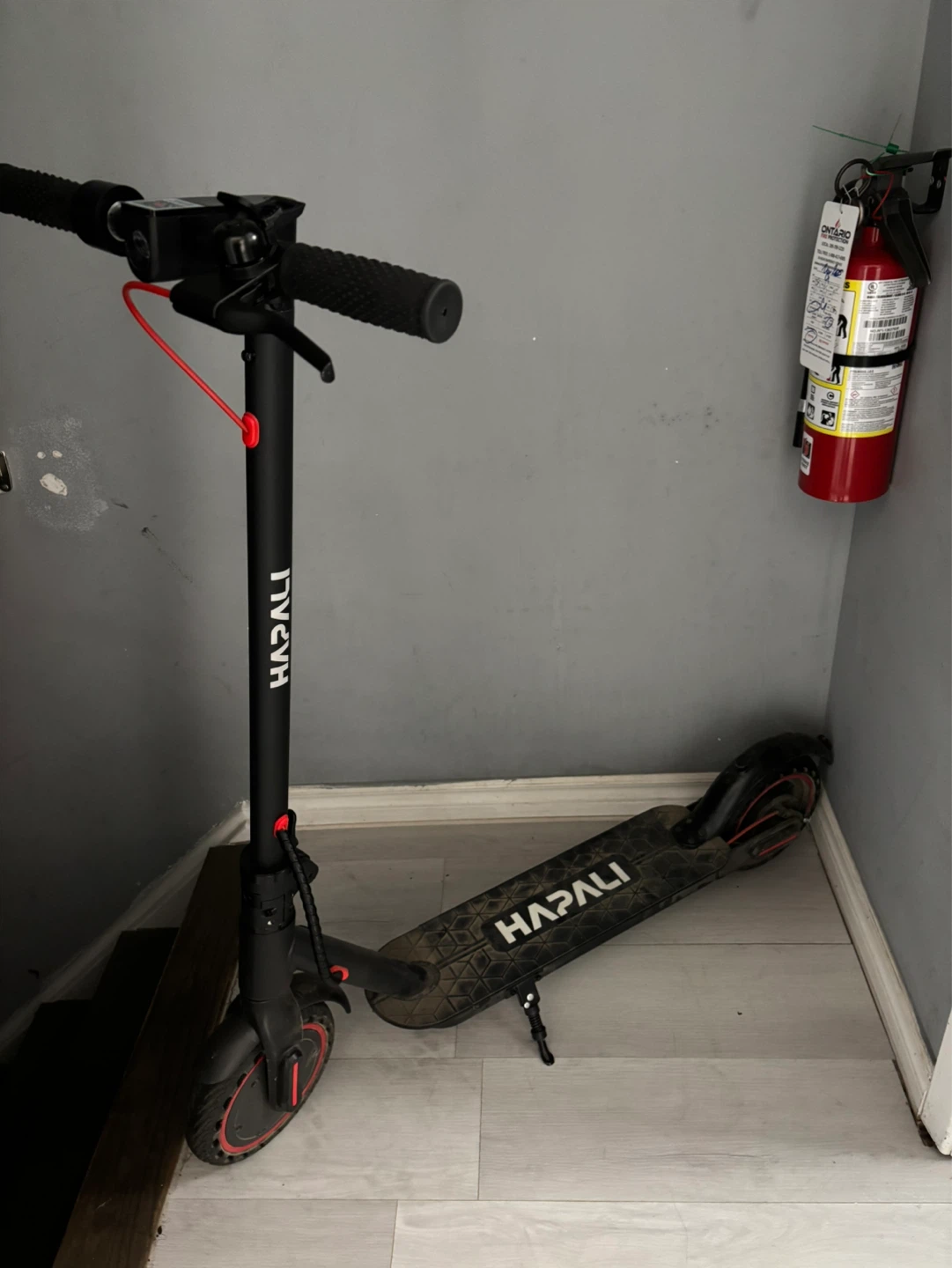 Hapoli Electric Scooter - photo 4
