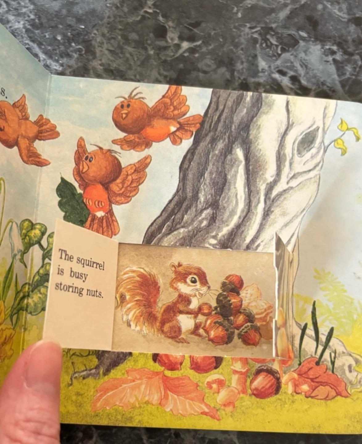 ⚽️Herself the Elf's Autumn & Winter Peek-a-boo flap Books - photo 4