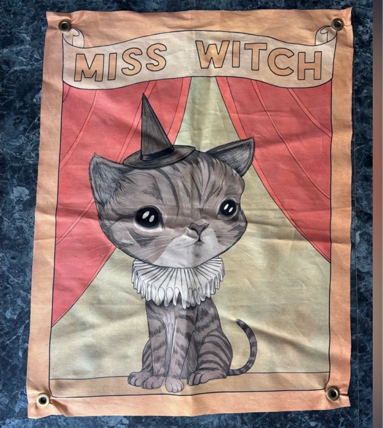 ⚽️Miss Witch Cat Banner