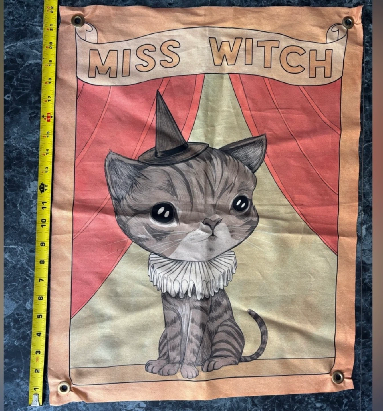 ⚽️Miss Witch Cat Banner - photo 2