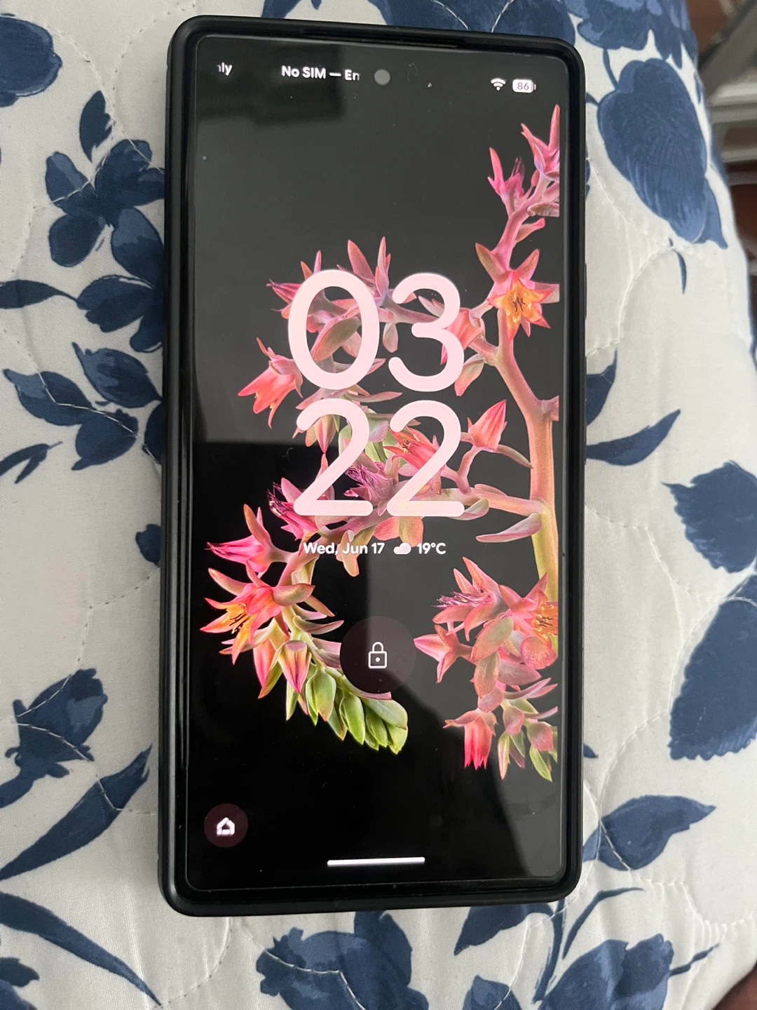Google Pixel 6  Phone with Case