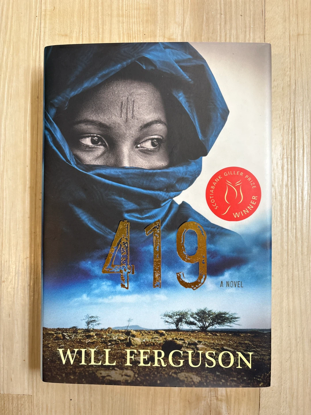 419 by Will Ferguson Novel