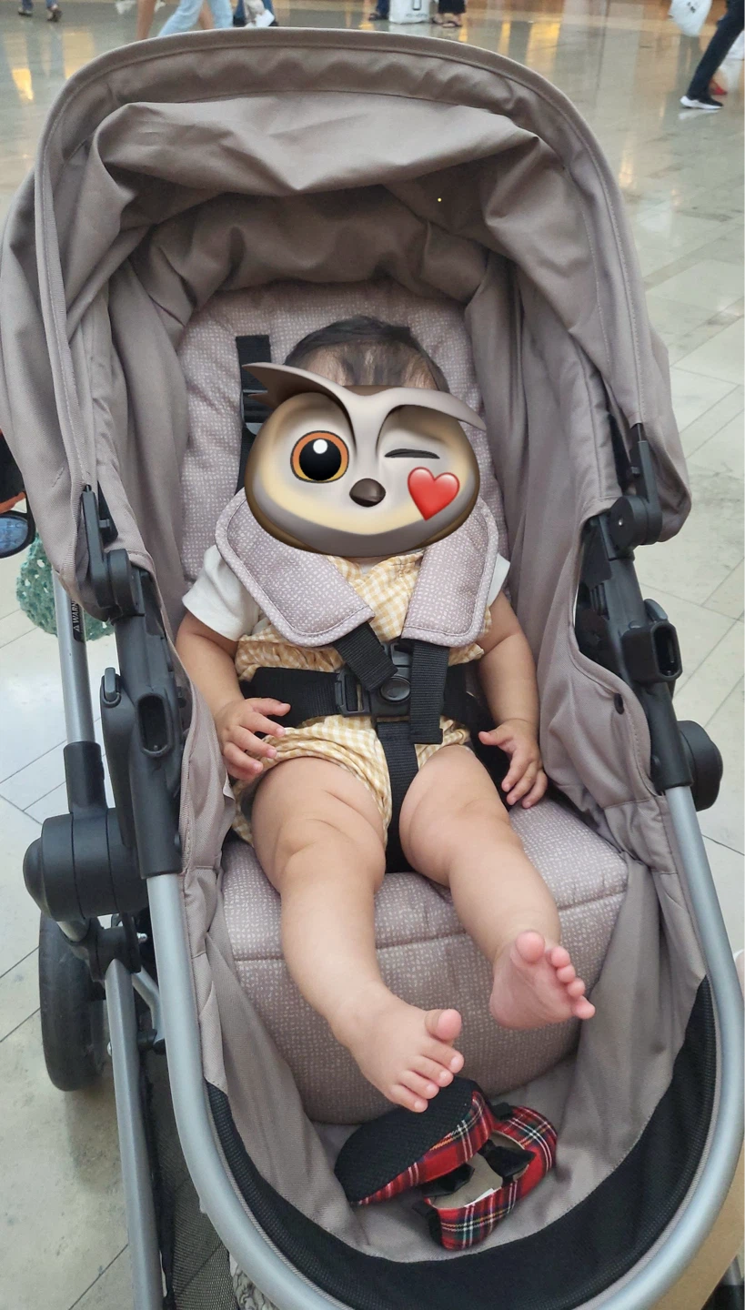Evenflo Stroller