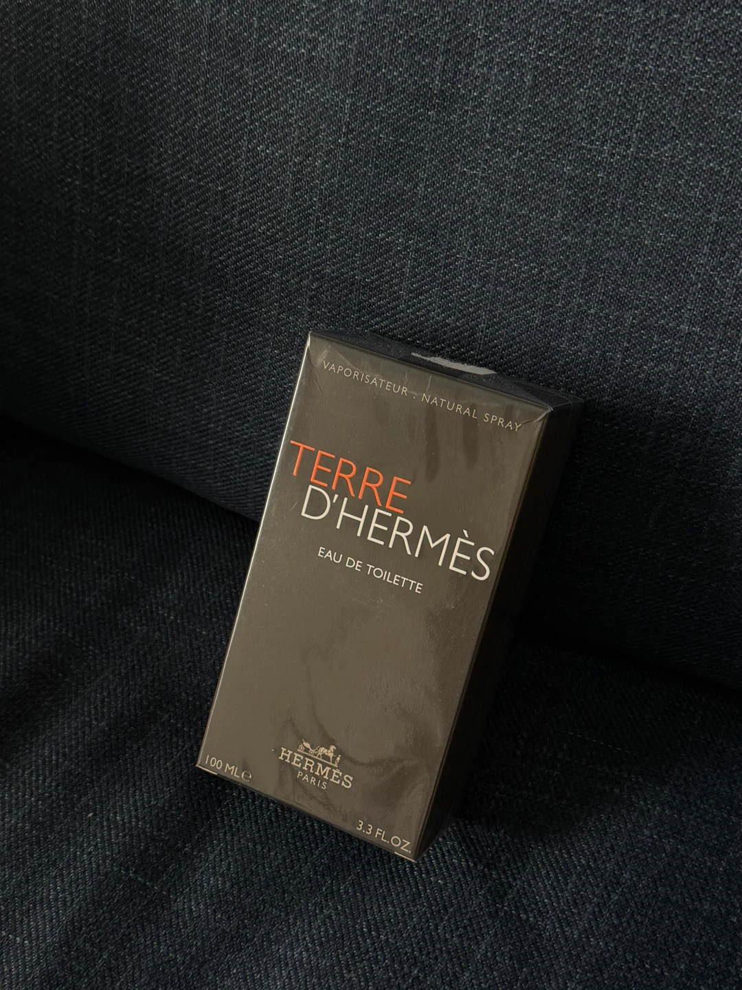 Hermès Terre d'Hermès Eau de Toilette 100 ML