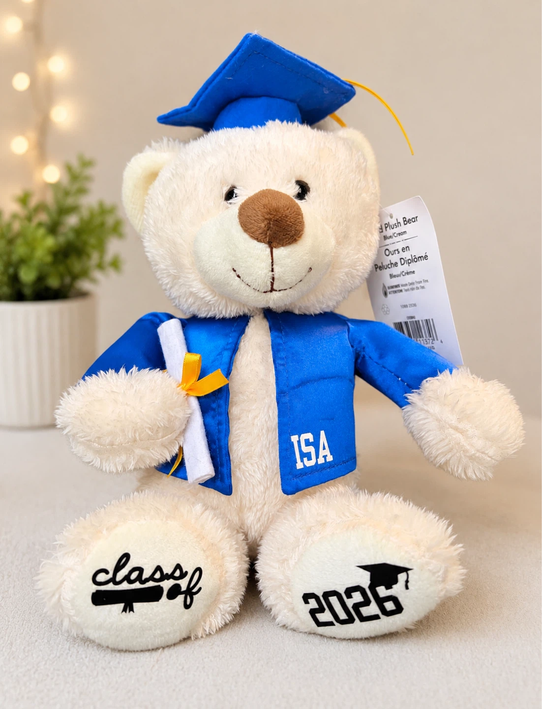 Graduation Plush Bear "Class of 2026"