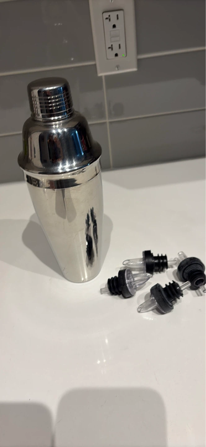 Stainless Steel Cocktail Shaker with Pour Spouts