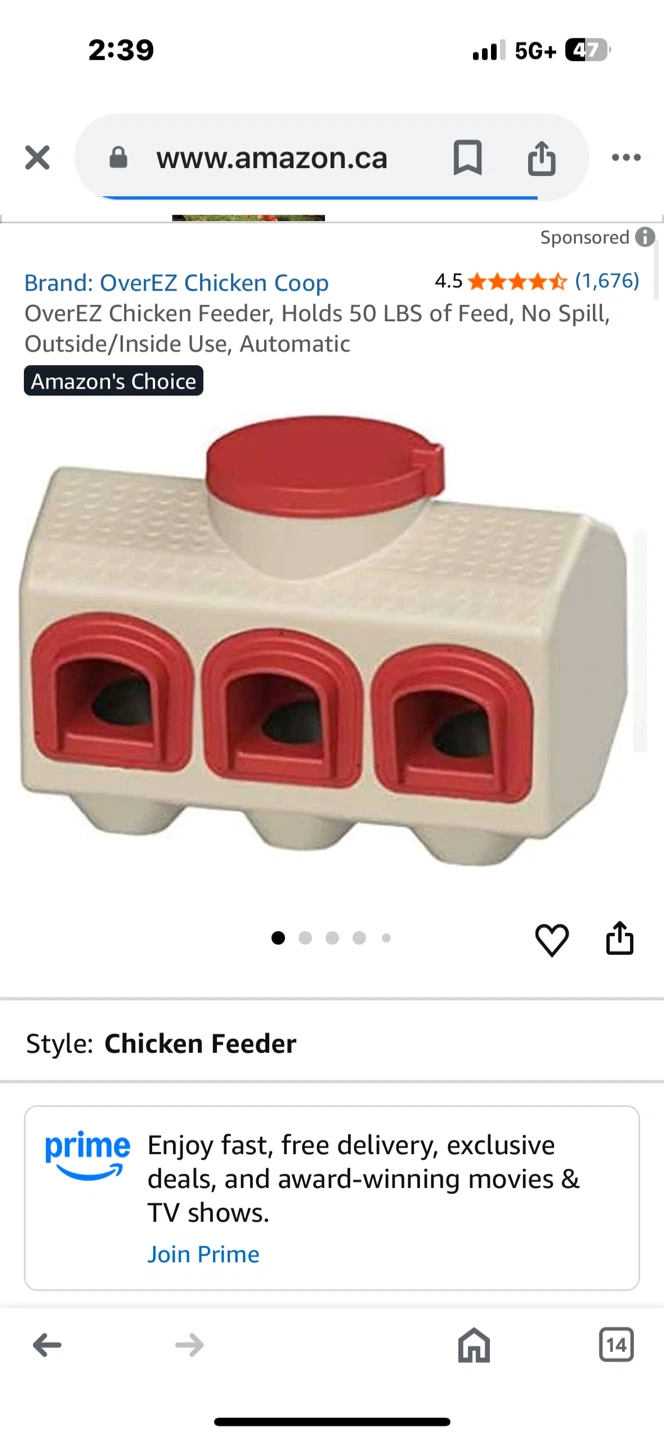 OverEZ Chicken Feeder and waterer ⚽ - photo 5