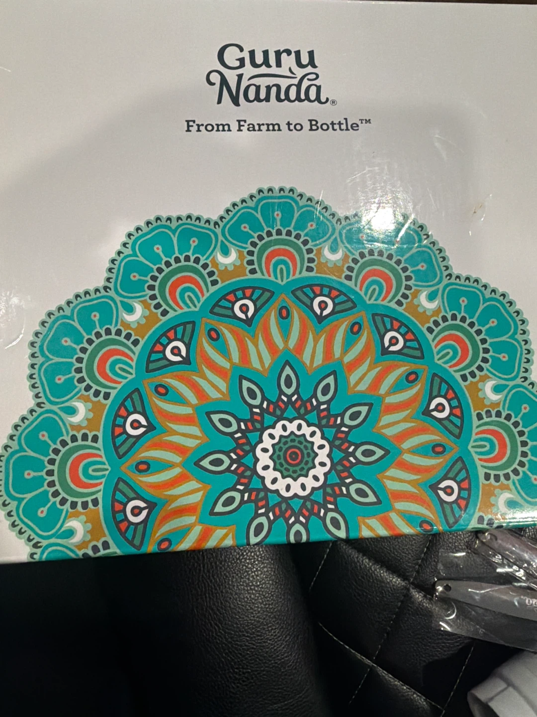 Guru Nanda Wild Mint Breath Harmonizer Mouthwash