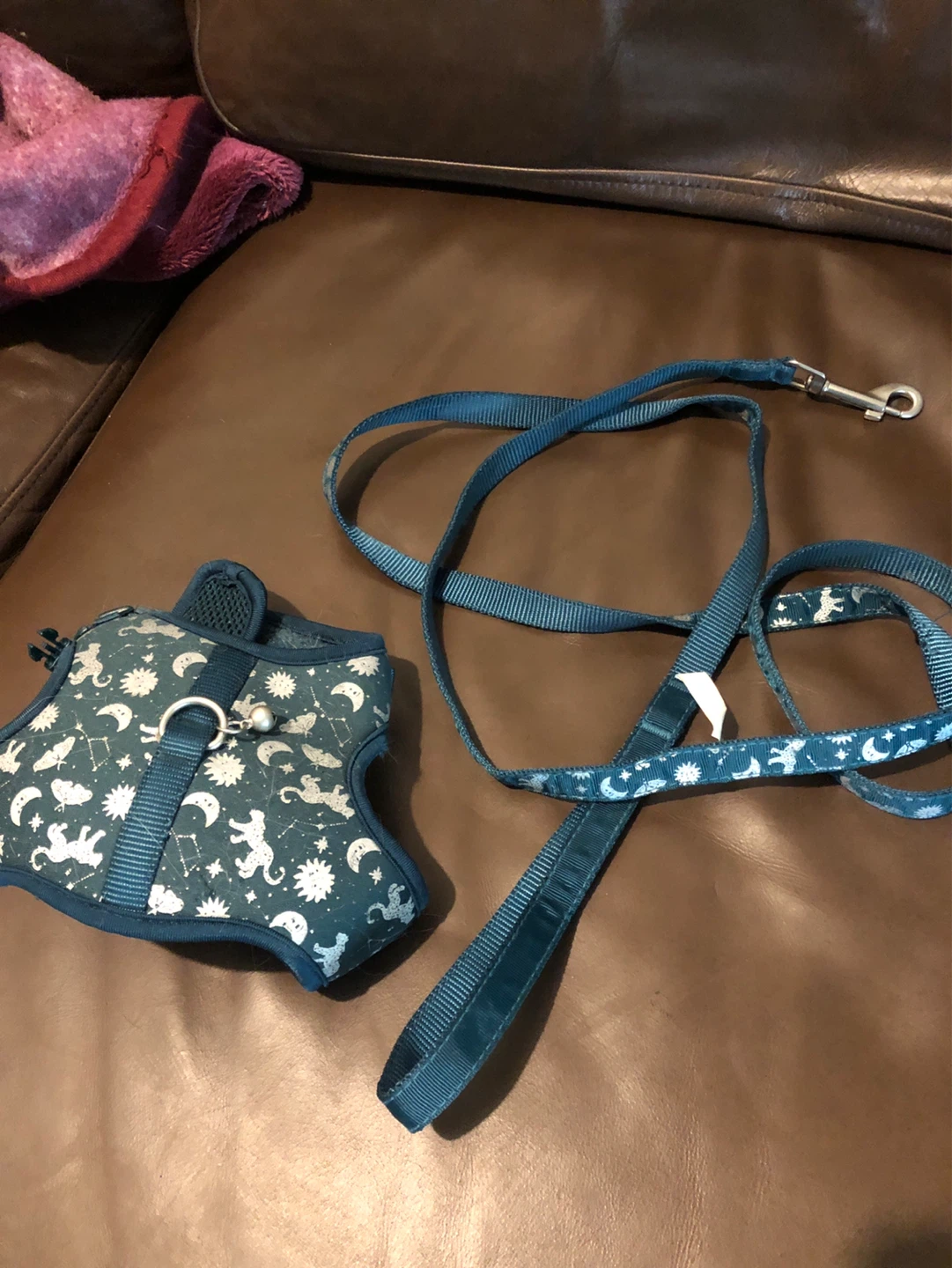 WC Astrology Cat Harness and Leash Combo - photo 3