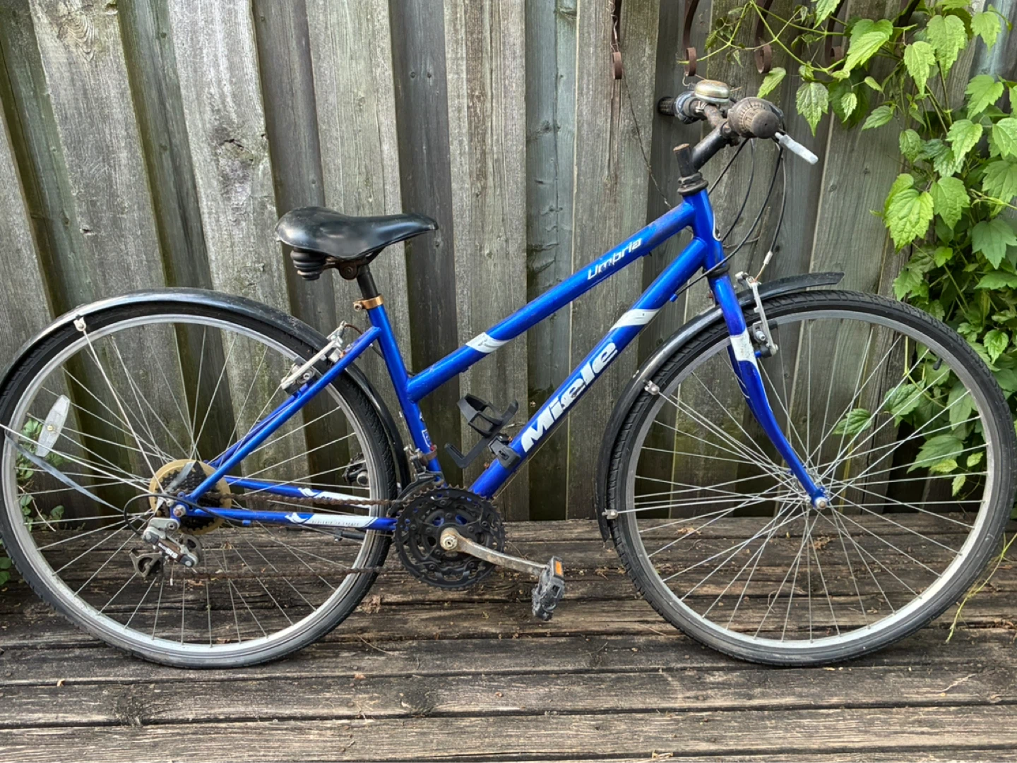 $60 Miele Umbria hybrid comfort bike 21 speed gear Shimano