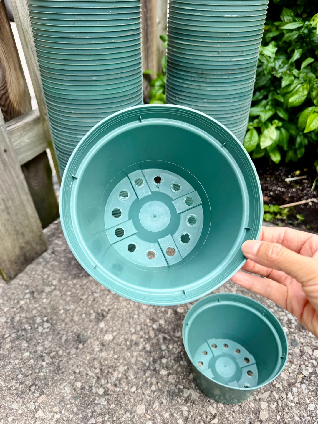 Nursery Pot 5.5” Inside Diameter (6.5” Outside Rim) × 4.9” H - photo 2