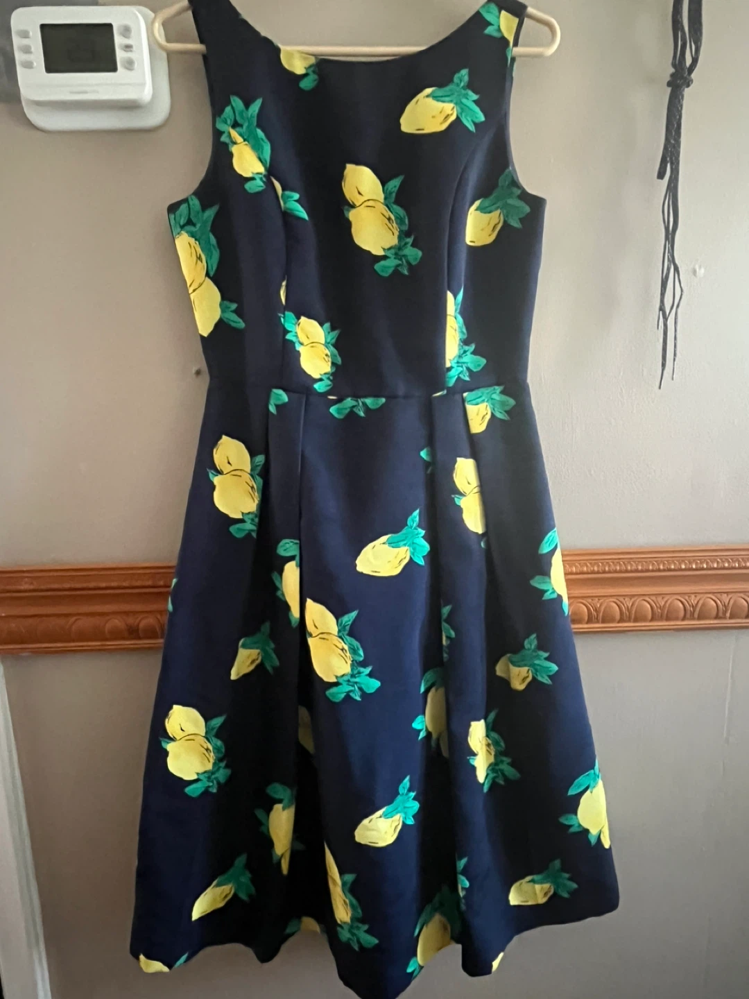 Eva Mendes Lemon Print Dress