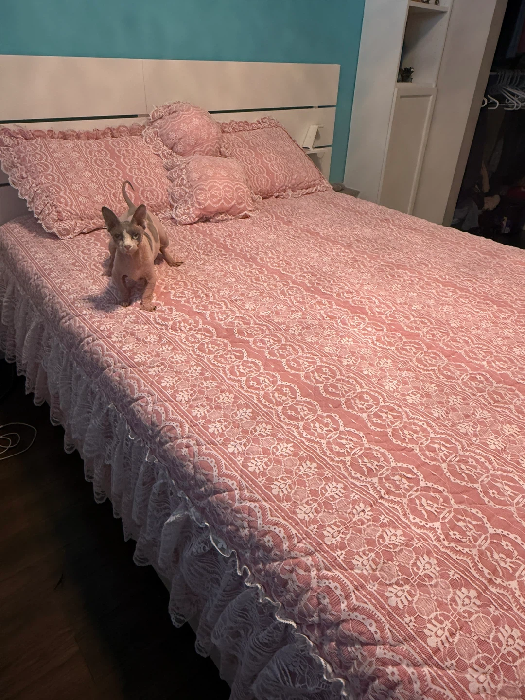 Pink Princess Lace Bedding Set with Ruffled Skirt ⚽️ - photo 2