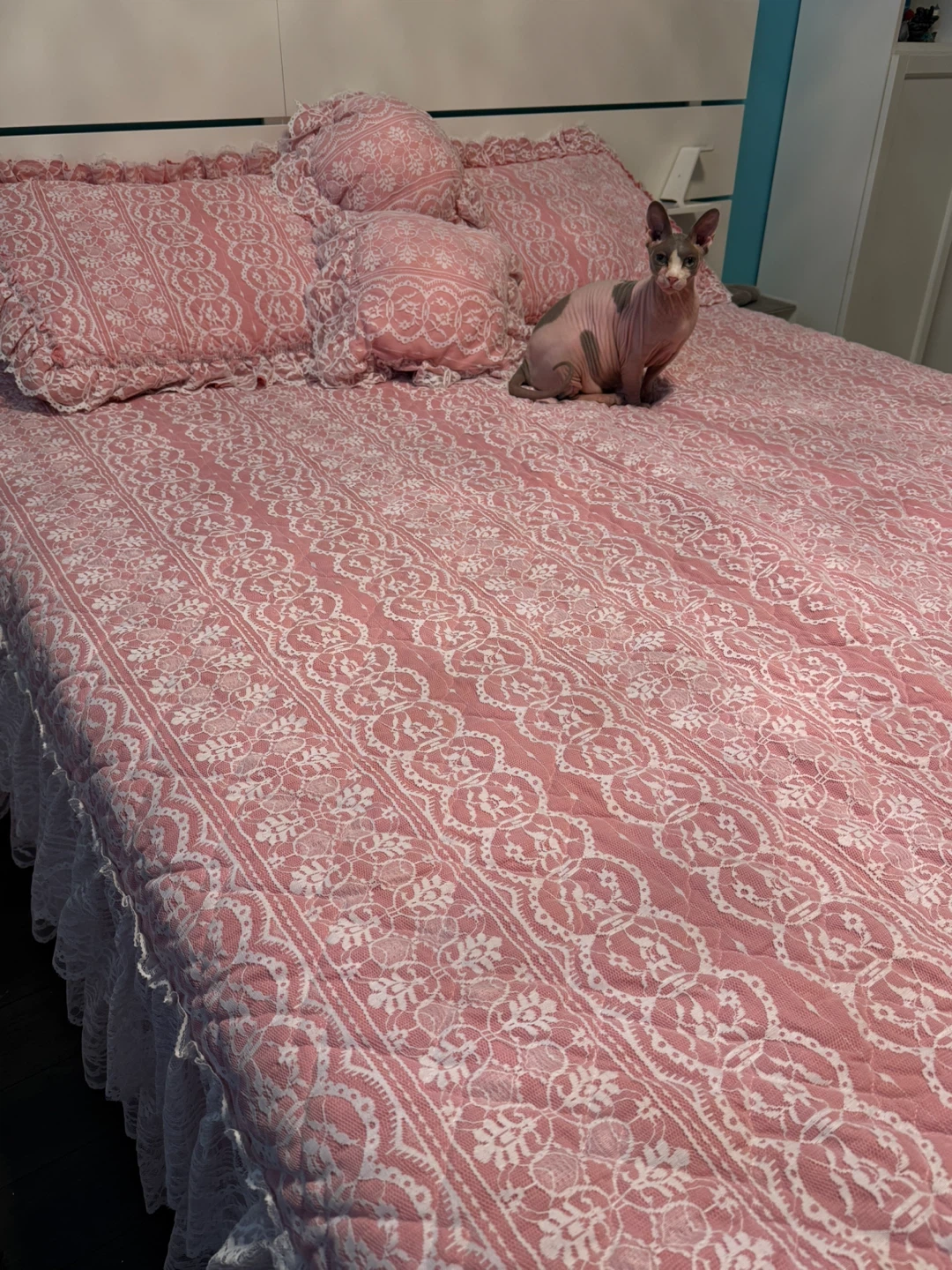 Pink Princess Lace Bedding Set with Ruffled Skirt ⚽️ - photo 3
