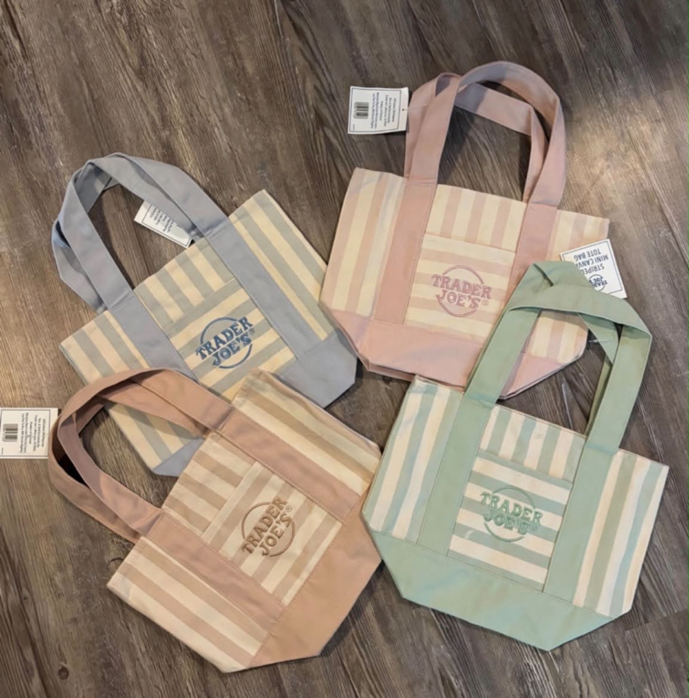 Trader Joe's Striped Mini Canvas Tote Bag