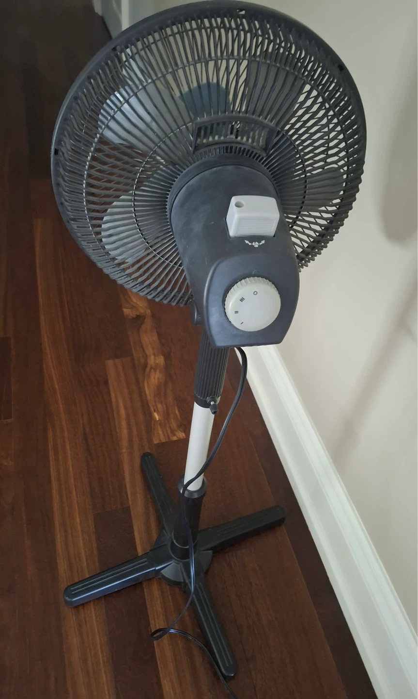 Fan - photo 2