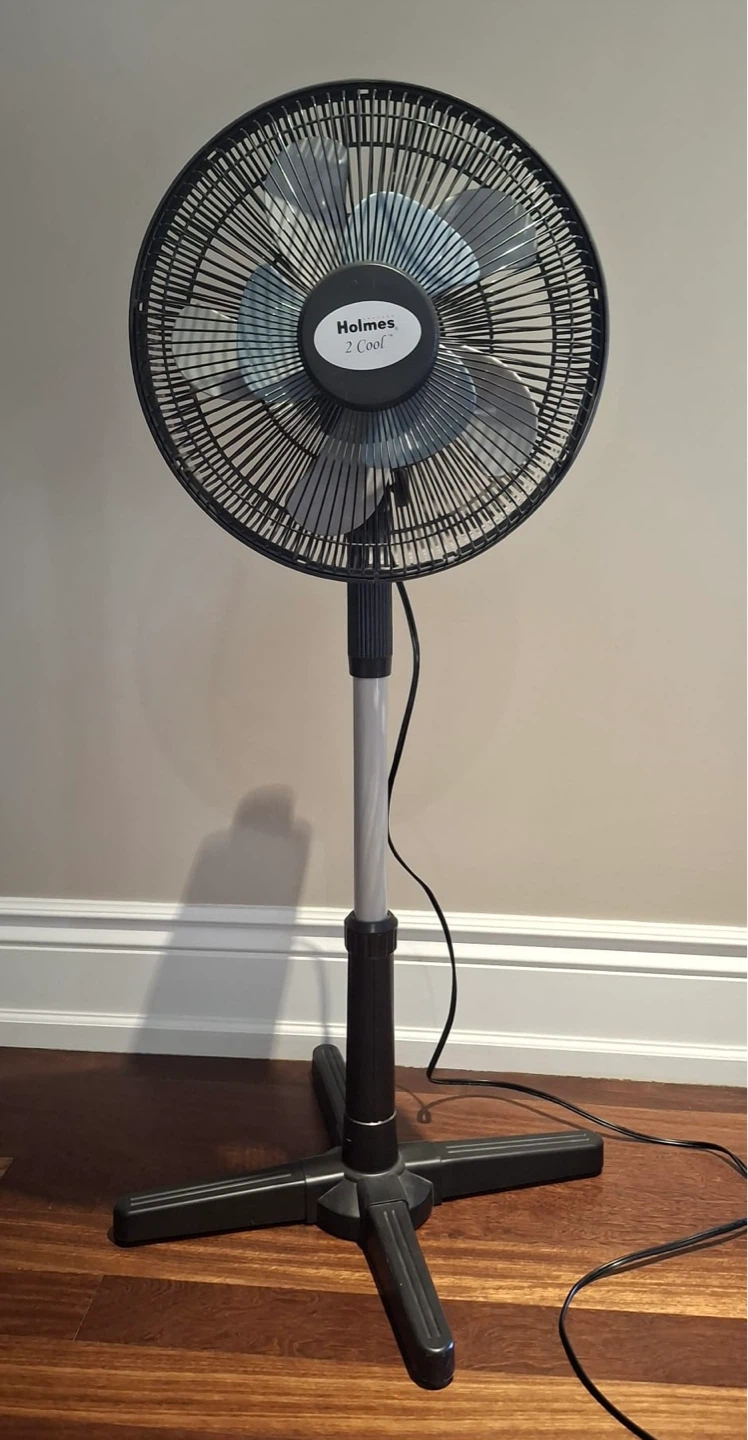 Fan