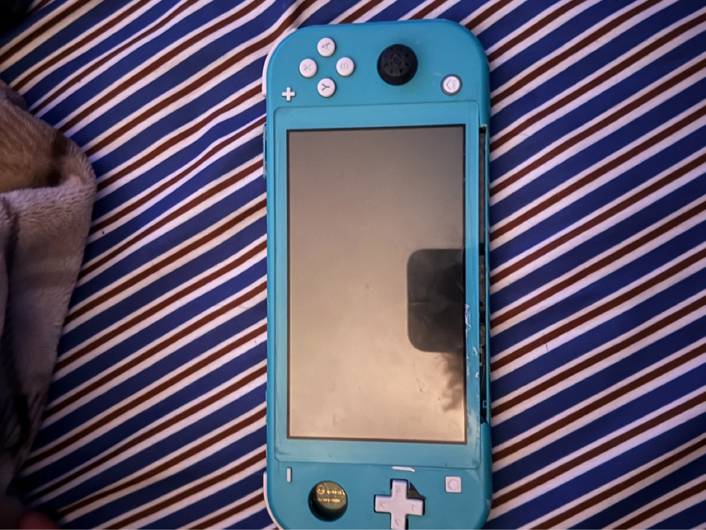 Nintendo Switch Lite (broken )