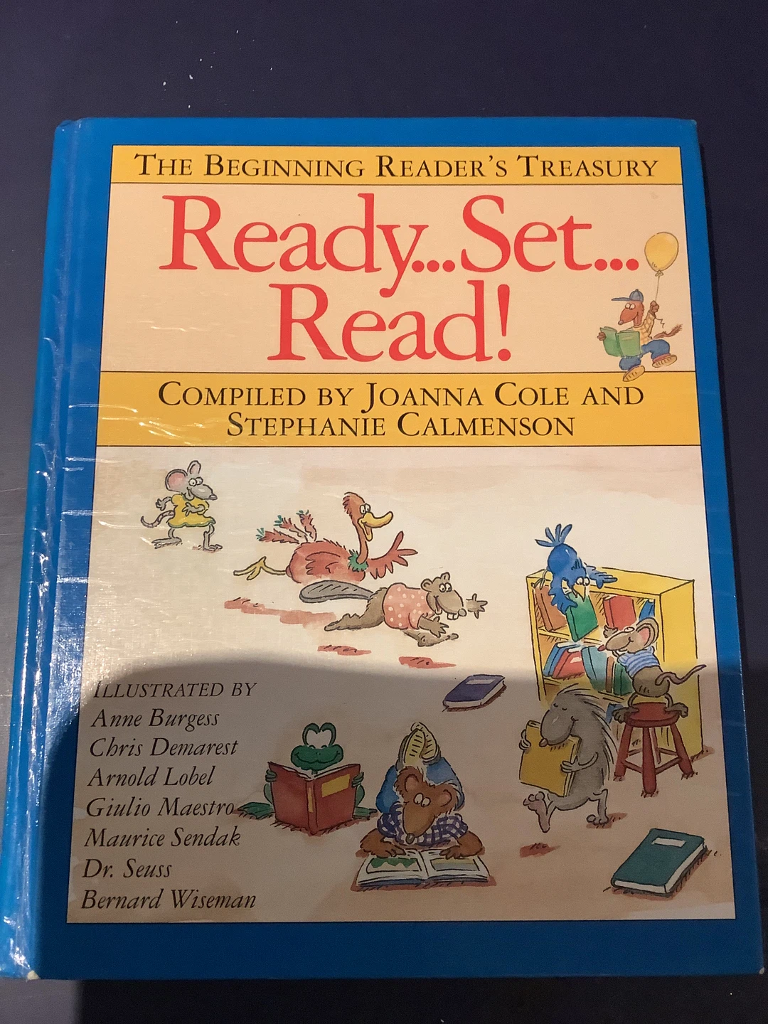 The Beginning Reader's Treasury: Ready... Set... Read! Book