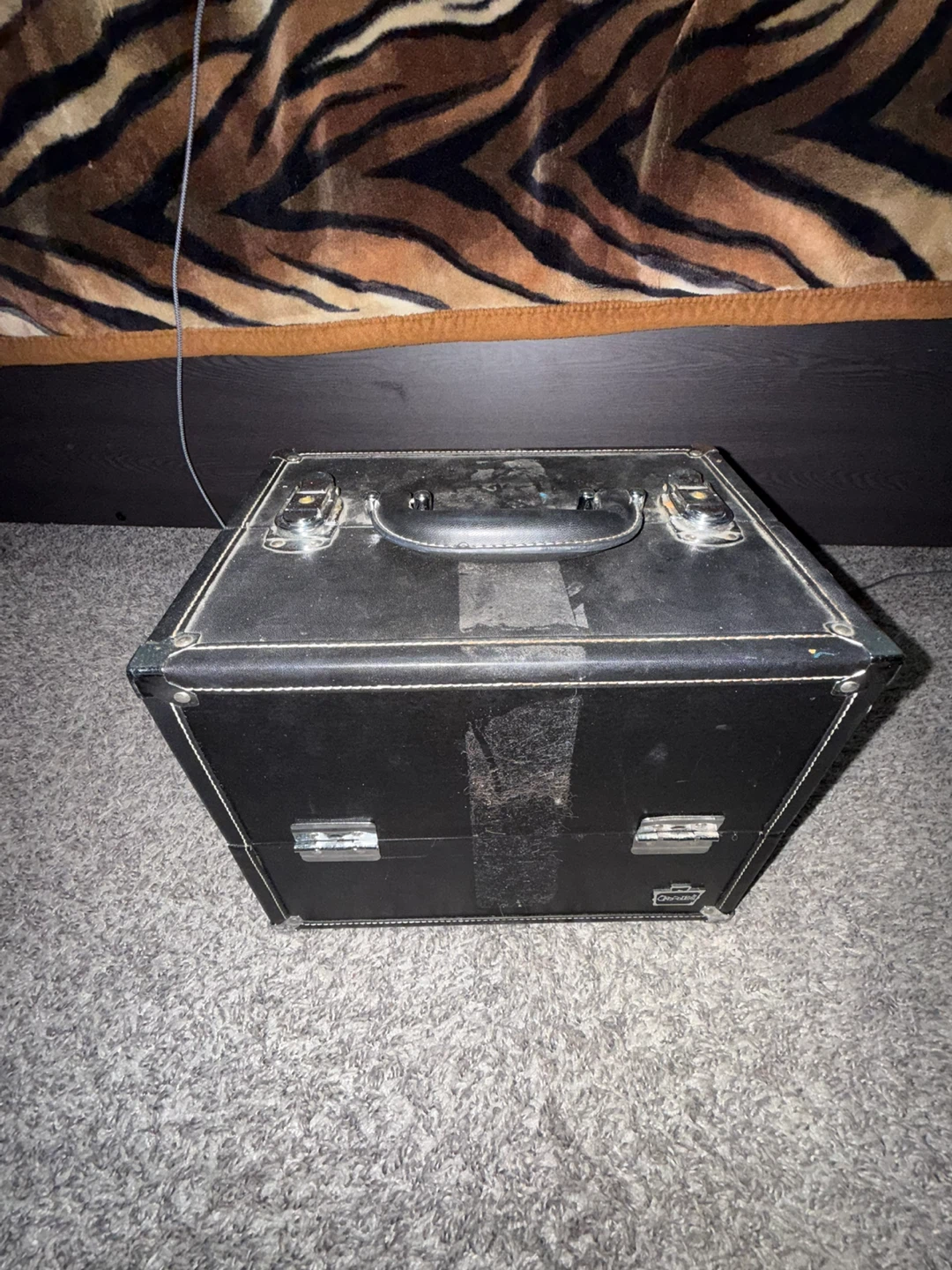 Train Case with Multiple Compartments