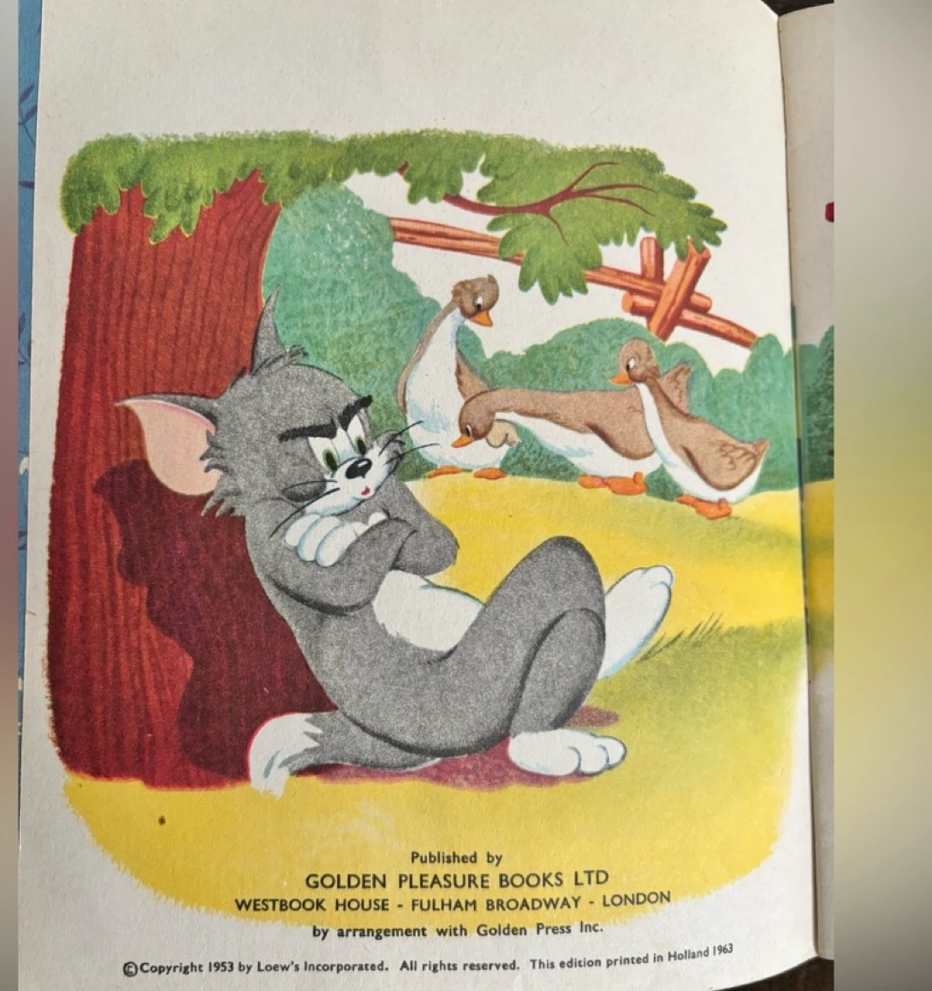 ⚽️MGM's Tom and Jerry meet Little Quack Golden Pleasure Book - photo 3