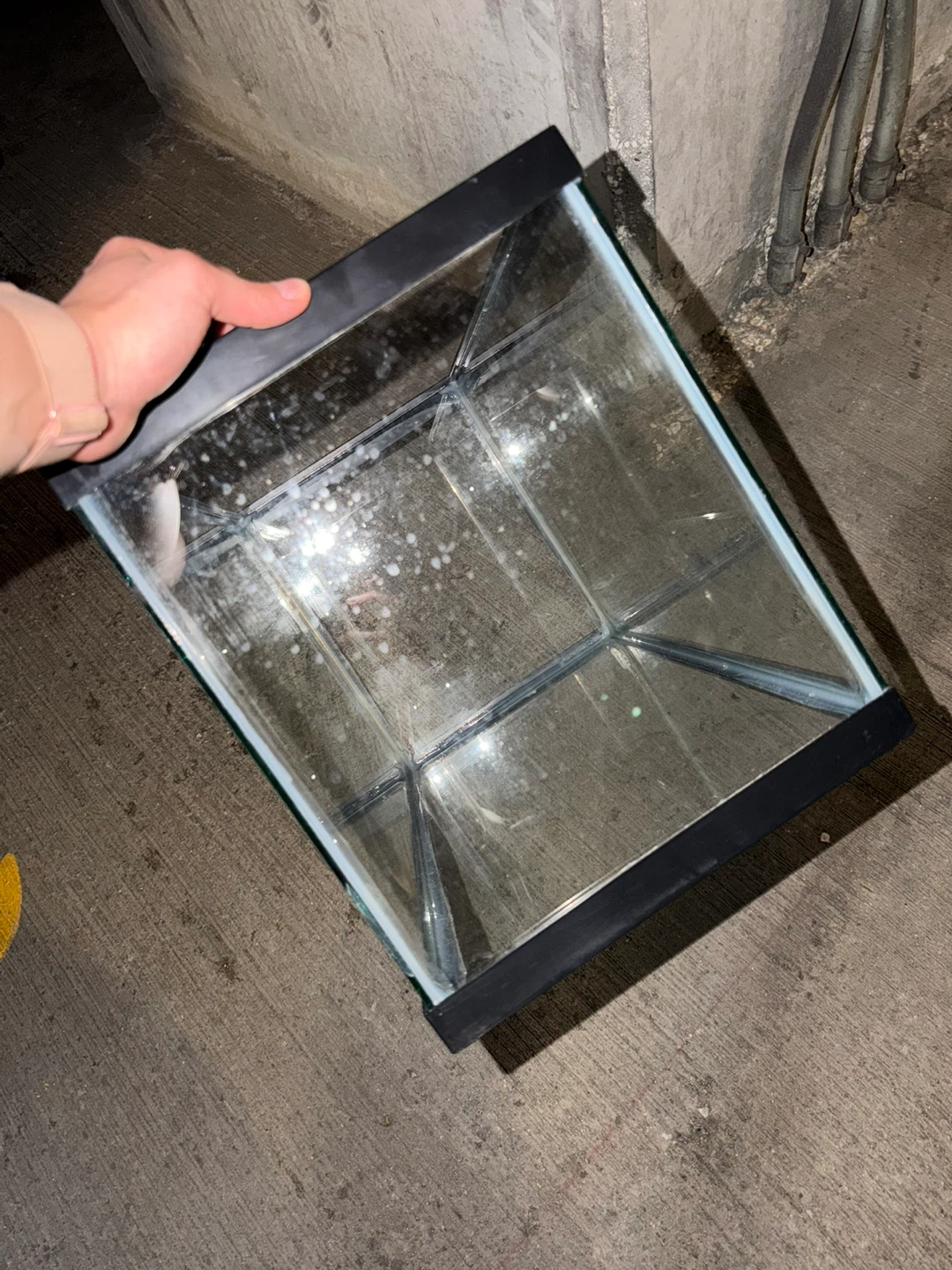 10 Gal - Glass Aquarium Tank - photo 4