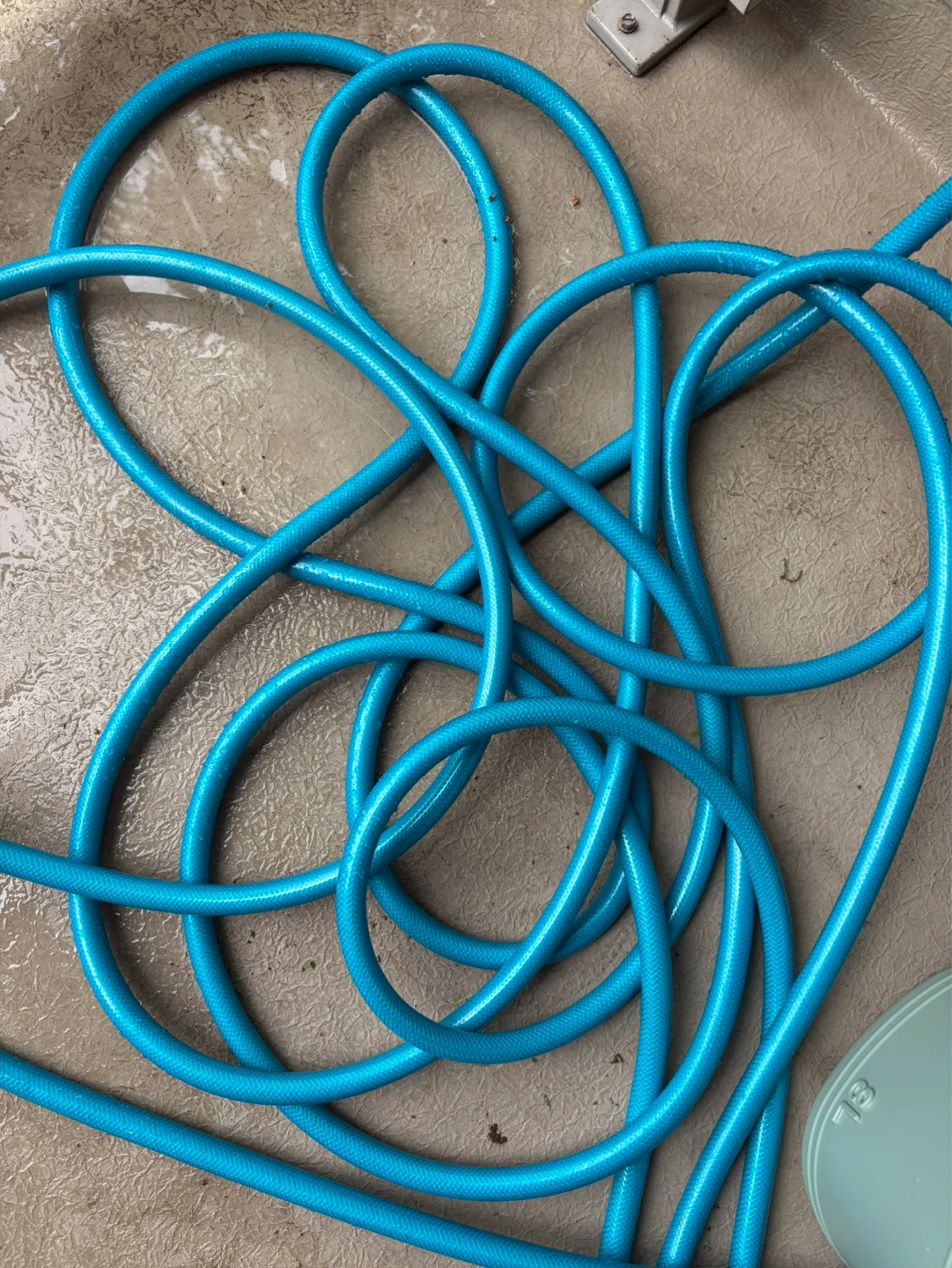 Garden Hose