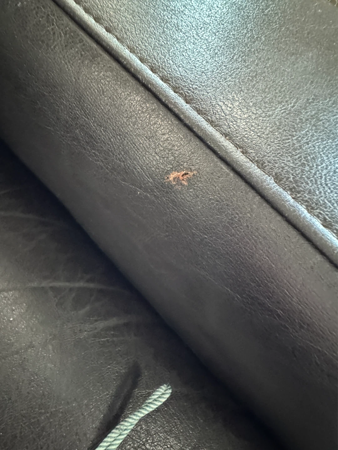 Dark Brown Leather Armchair - photo 5