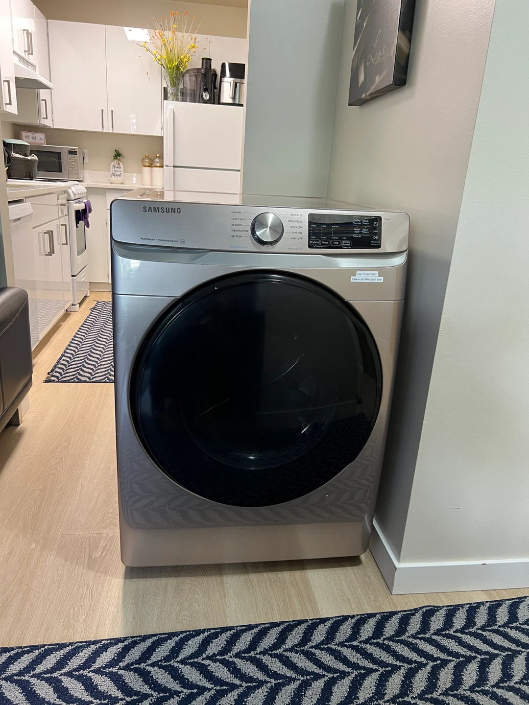 Samsung Clothes Dryer