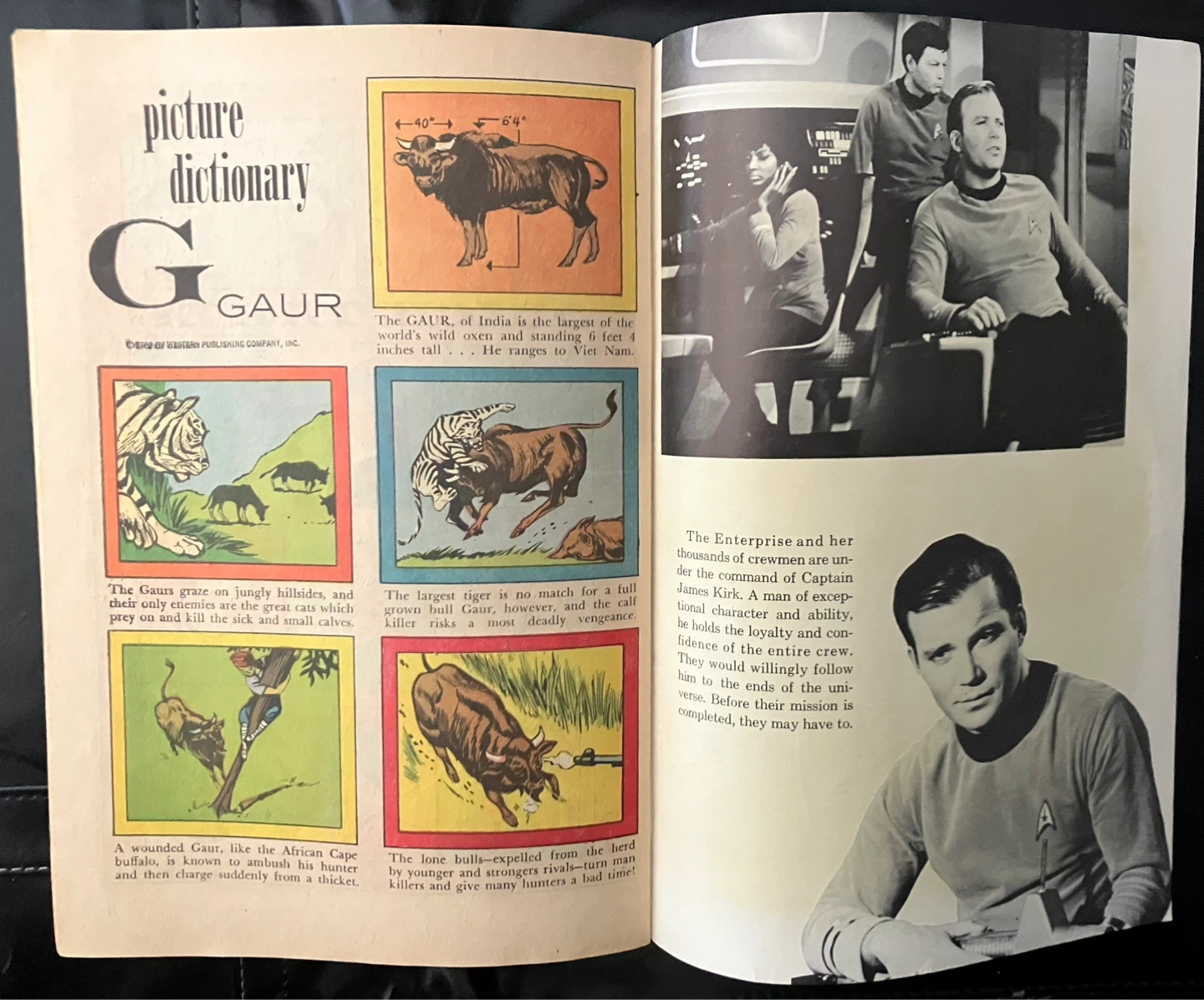 Star Trek #1.  1967.  Gold Key Edition. - photo 5