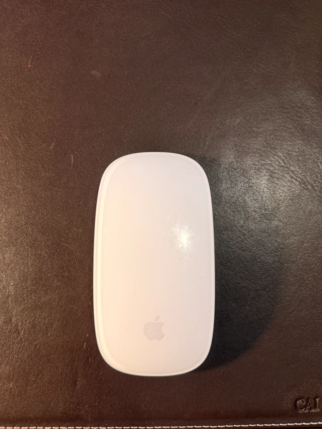 Apple Magic Mouse