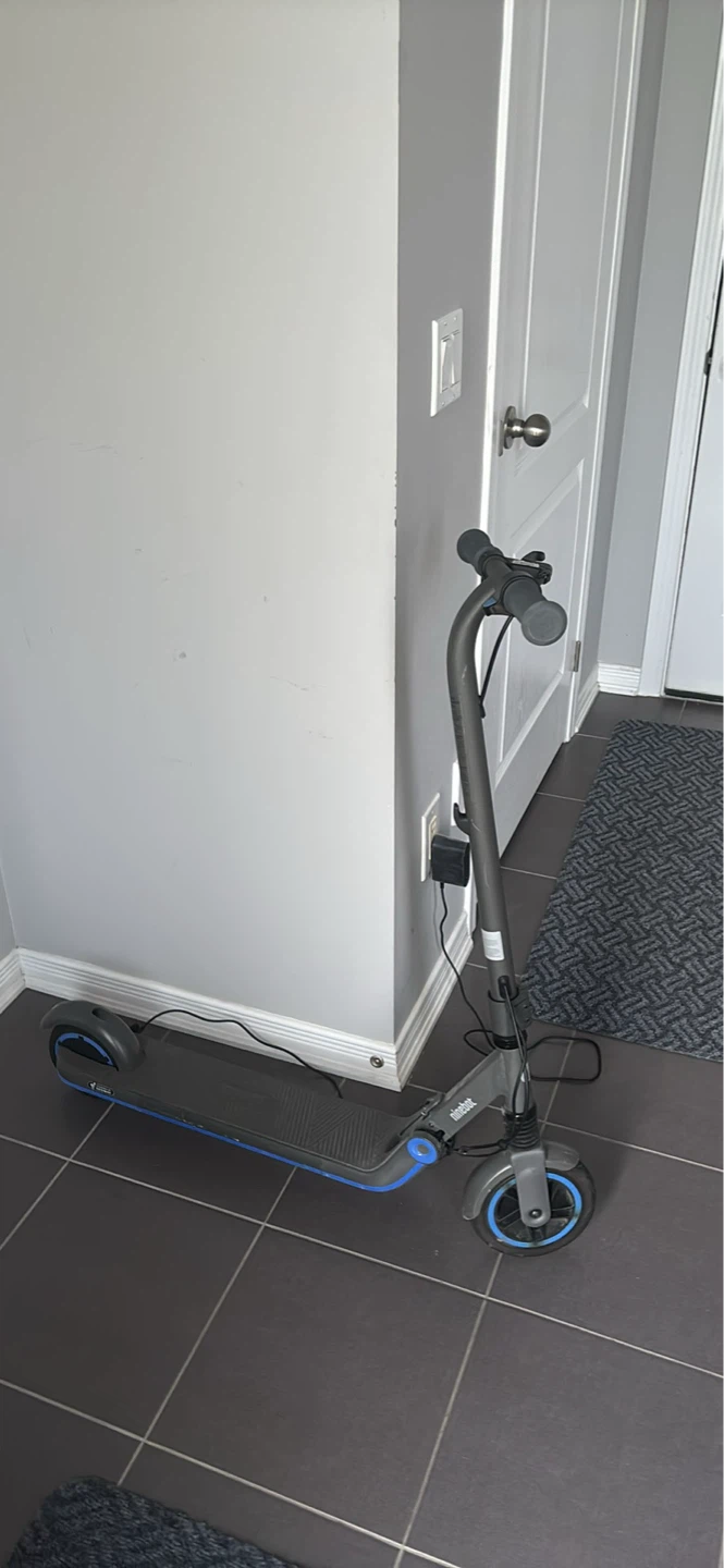 Ninebot Electric Scooter