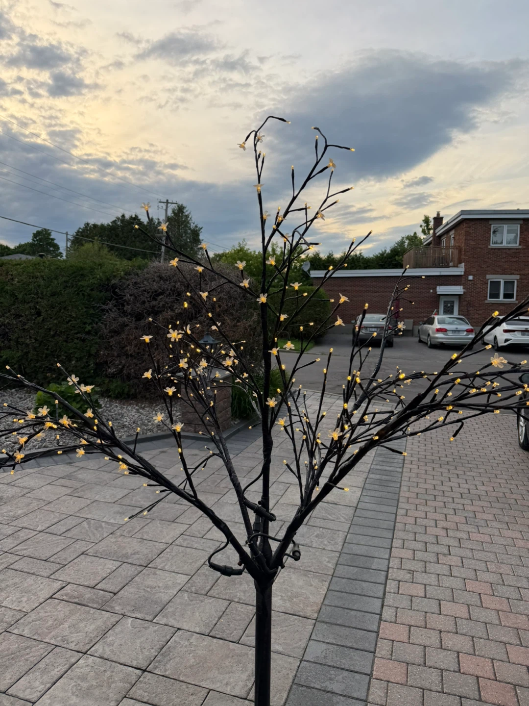 Decorative LED Light Tree - photo 5