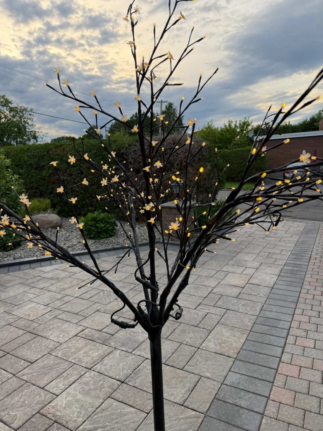 Decorative LED Light Tree - photo 2