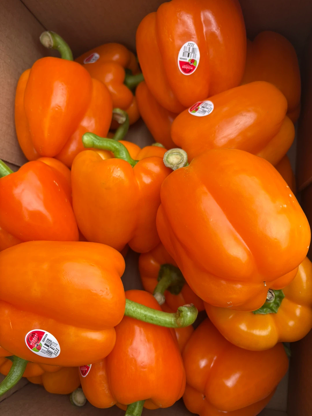 Fresh Orange Bell Peppers -$1 each