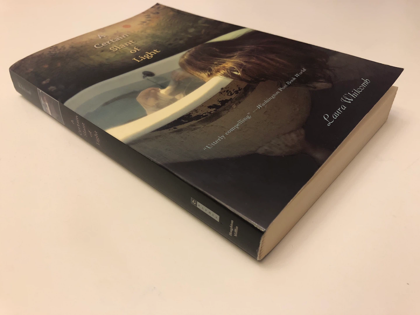 A Certain Slant of Light by Laura Whitcomb - photo 3