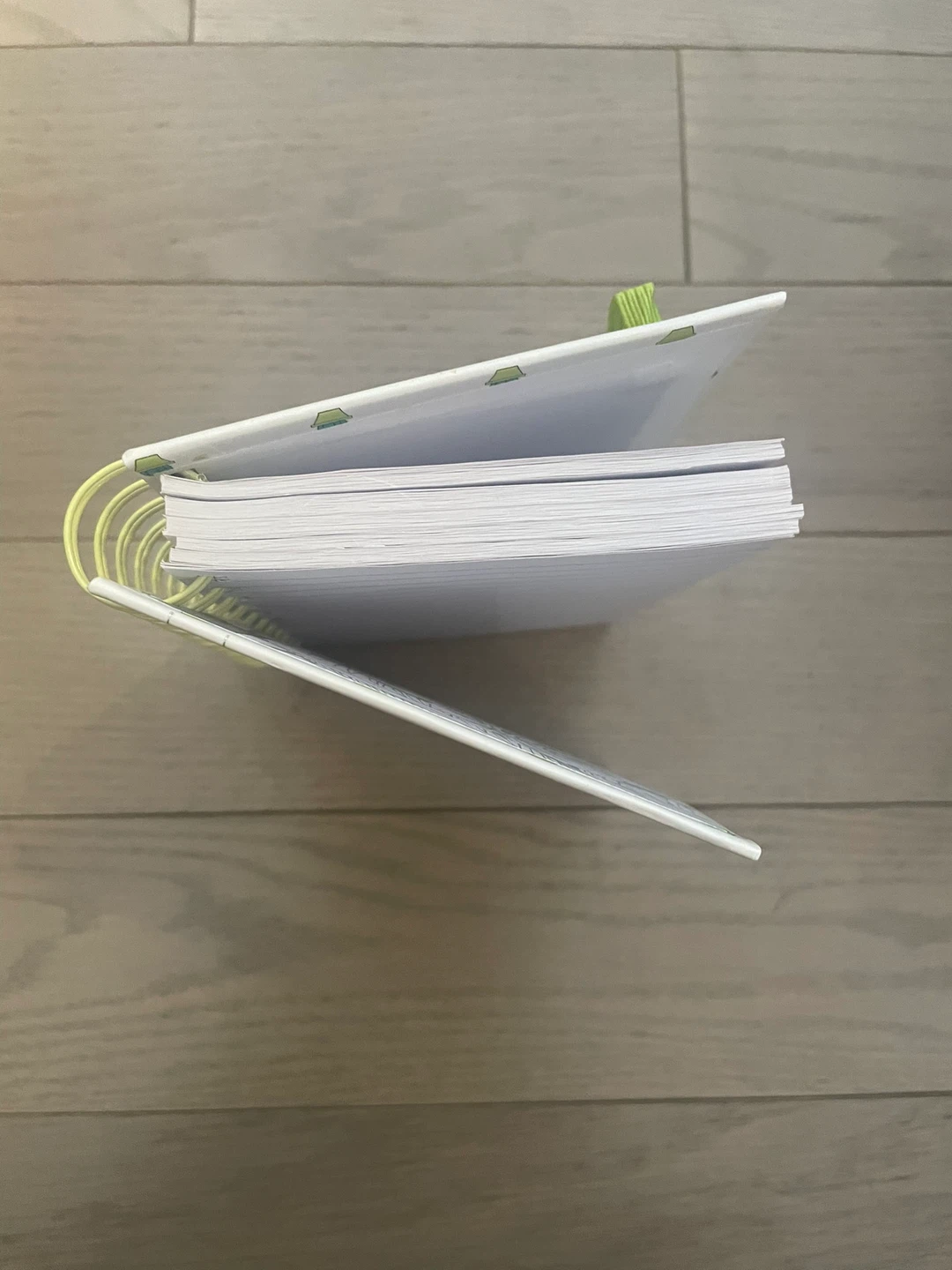 ⚽️Cute Cactus Spiral Notebook - photo 3