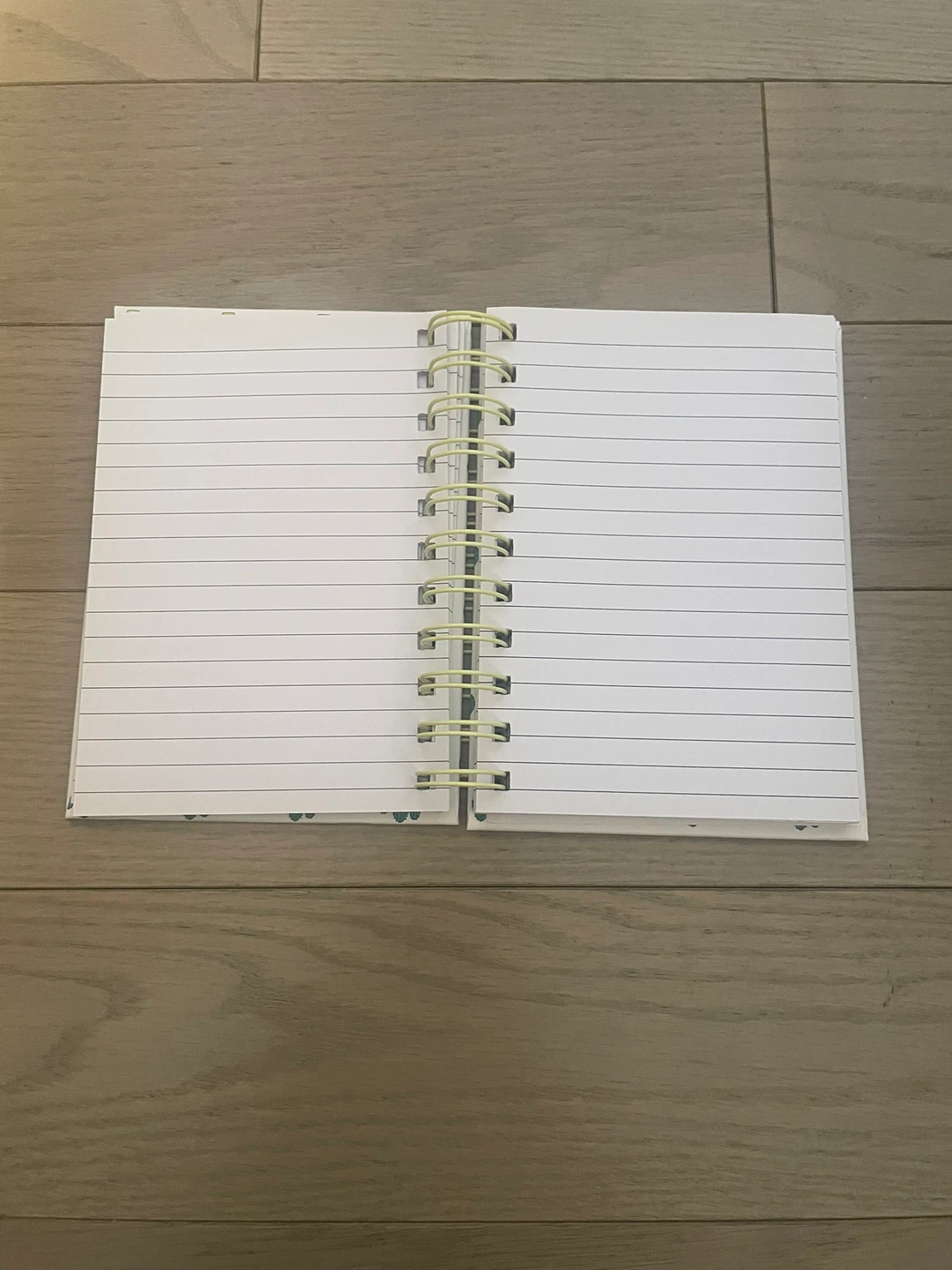 ⚽️Cute Cactus Spiral Notebook - photo 2
