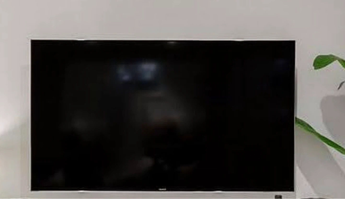 Sony XBR-55X900H with TV Remote - photo 2
