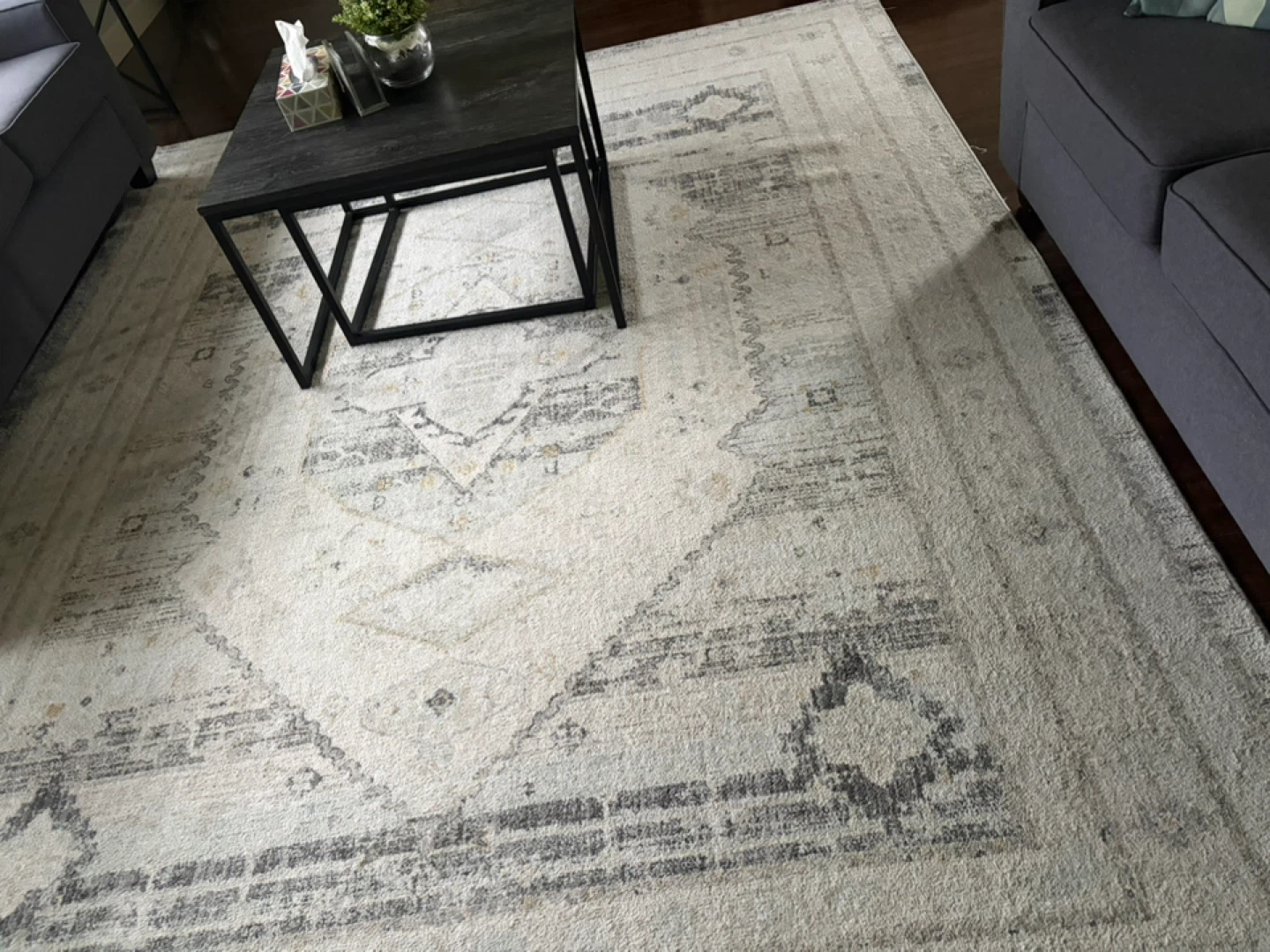 Surya Bitlis Area Rug 7'10 x 10' - photo 2