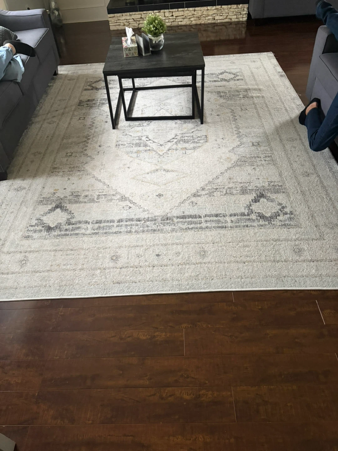Surya Bitlis Area Rug 7'10 x 10'