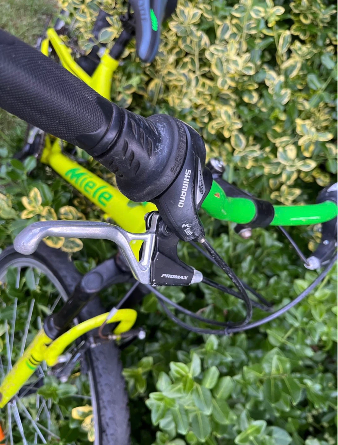 🔥 Miele 24” Bike – Ready to Ride – Great Condition - photo 4